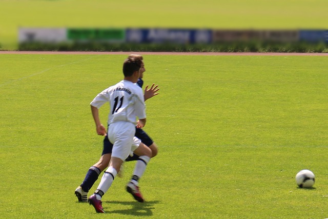 在职业生涯 在职业生涯