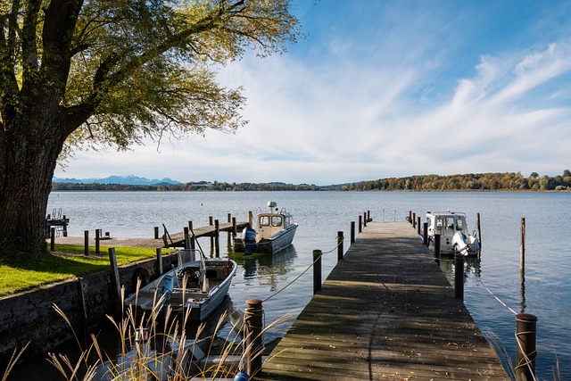 各成员国将 各成员国将