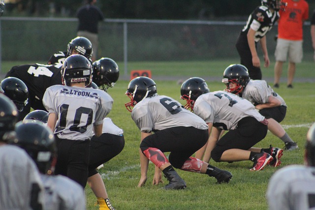 取得了显著 取得了显著