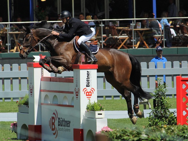 长期发展的 长期发展的