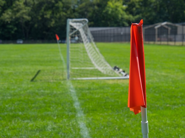 场核心的亚 场核心的亚